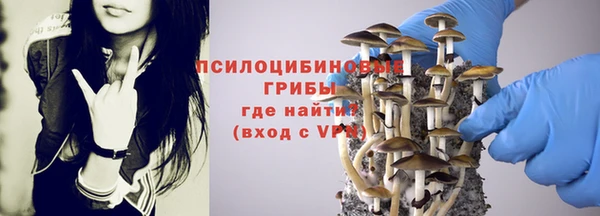 мдпв Елизово