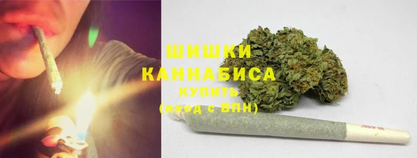 мдпв Елизово